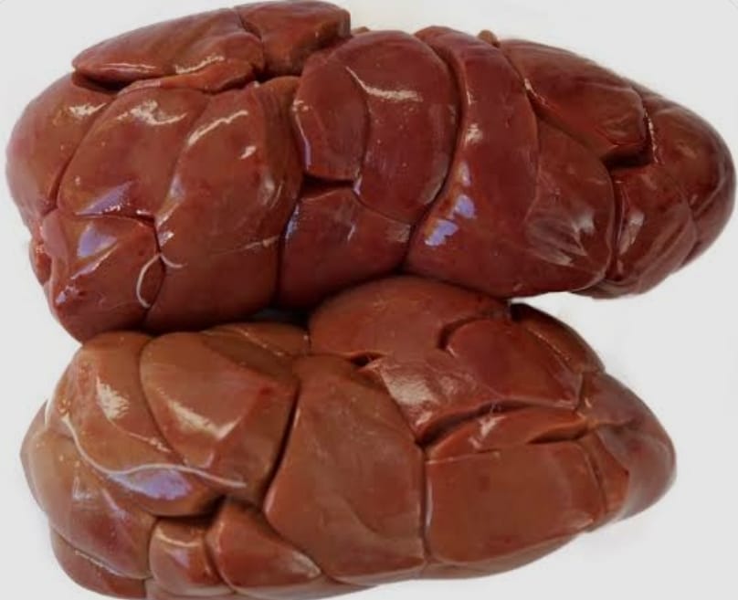 Beef Kidney
