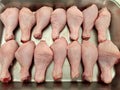 Chicken Drumsticks