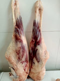 Lamb Leg