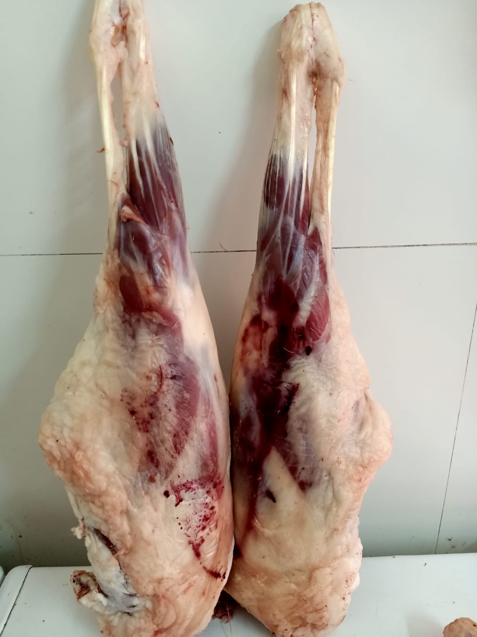 Lamb Leg